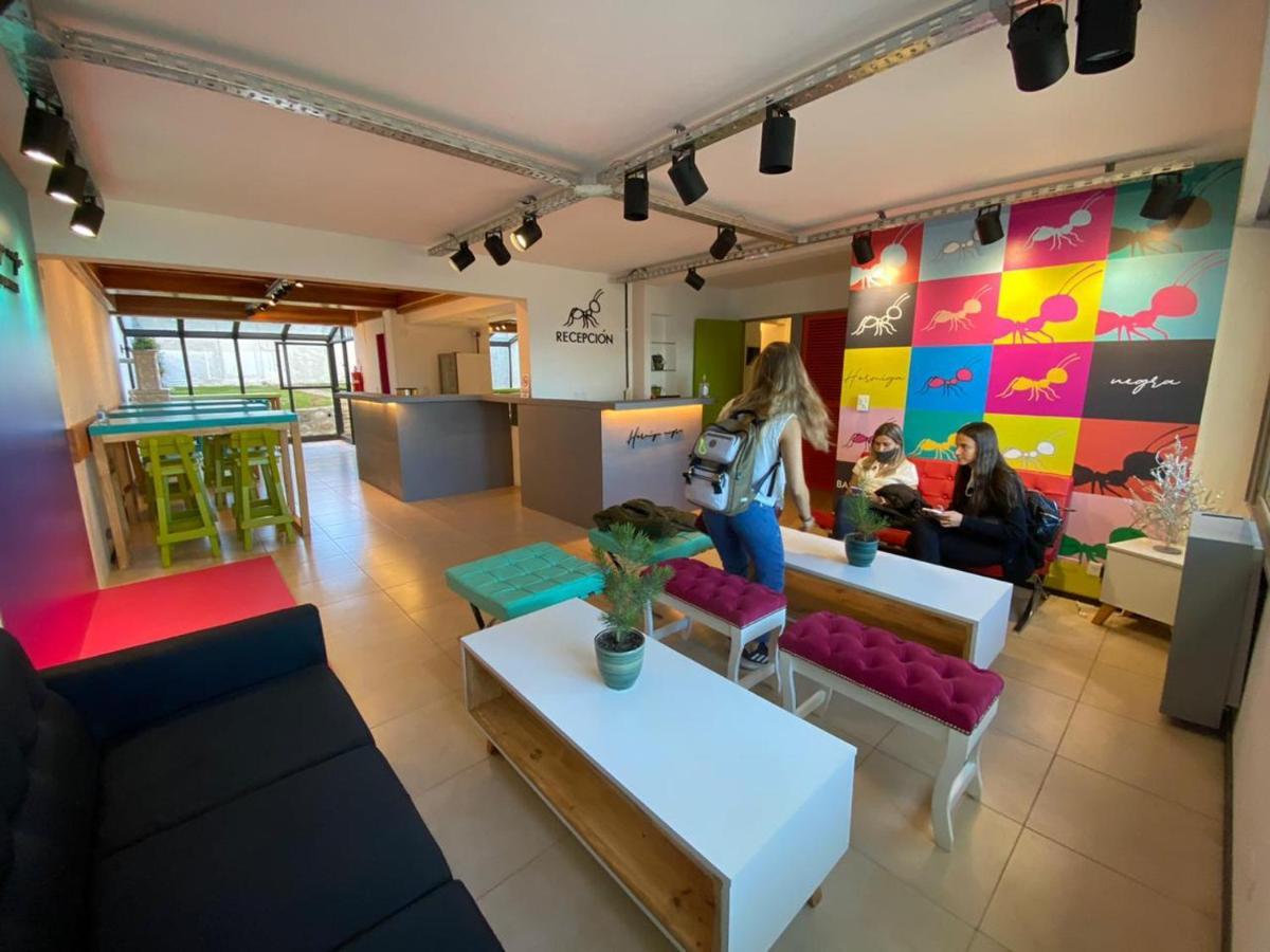 Hostel Hormiga Negra San Carlos de Bariloche Ngoại thất bức ảnh